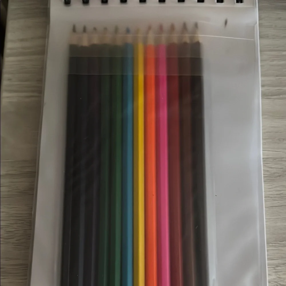 Zara's Brown Sketchbook with Colored Pencils